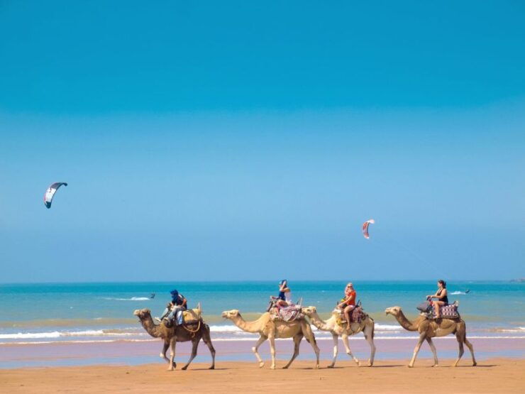 From Marrakech: Essaouira Full-Day Trip - Activity Duration and Logistics