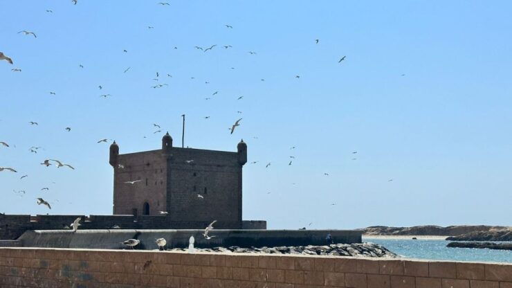 From Marrakech: Essaouira Full-Day Trip With Wine & Lunch - Tour Details