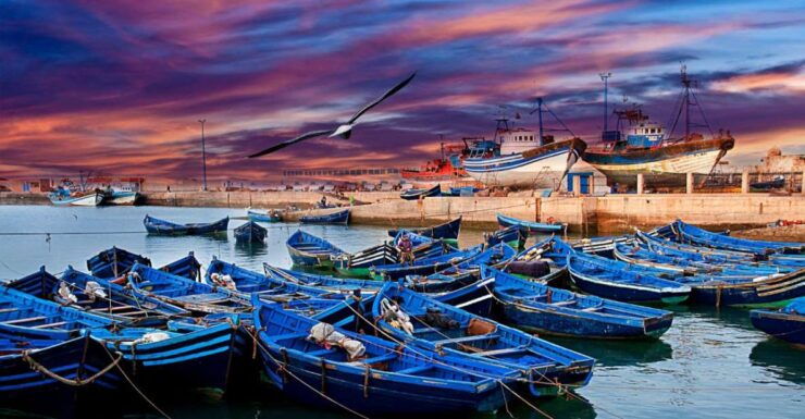 From Marrakech : Essaouira Private Day Trip - Booking Details