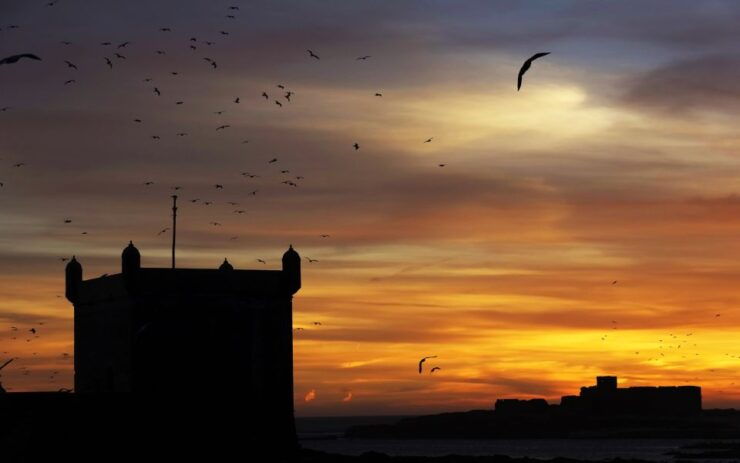 From Marrakech: Full-Day Private Trip to Essaouira - Trip Highlights