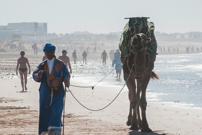 From Marrakech Full-Day Tour to Agadir - Good To Know
