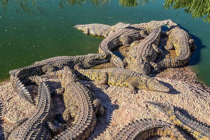 From Marrakech Full-Day Tour to Agadir - Viator Help Center