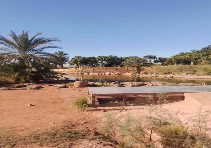 From Marrakech: Full-Day Trip to Agadir - Activity Highlights