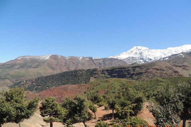 From Marrakech Full Day Trip To Ourika Valley Atlas Mountains - Frequently Asked Questions