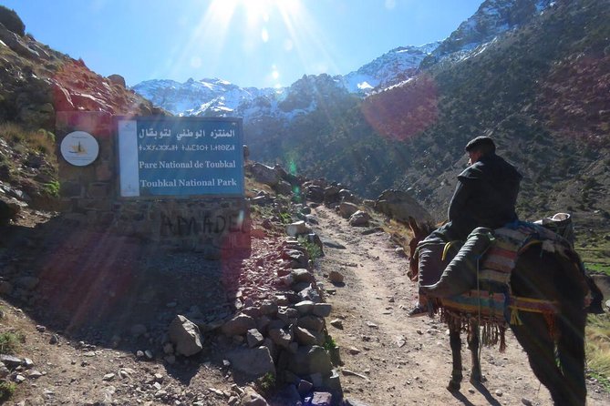 From Marrakech Hiking Day Trip in Imlil Valley and Kasbah Toubkal - Tour Operator and Booking Confirmation
