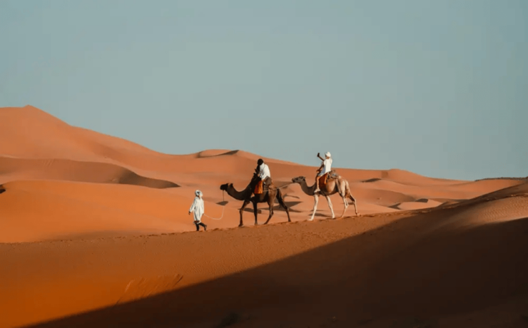 From Marrakech: Magical 3-Day Desert Tour to Fes Via Sahara - Key Points