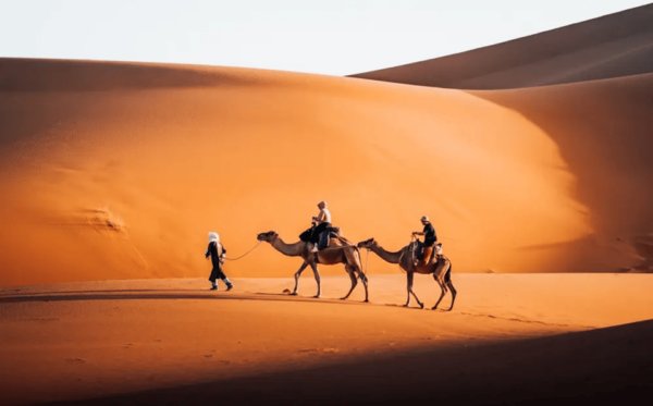 From Marrakech: Magical 3-Day Desert Tour to Fes Via Sahara - Tour Logistics and Planning
