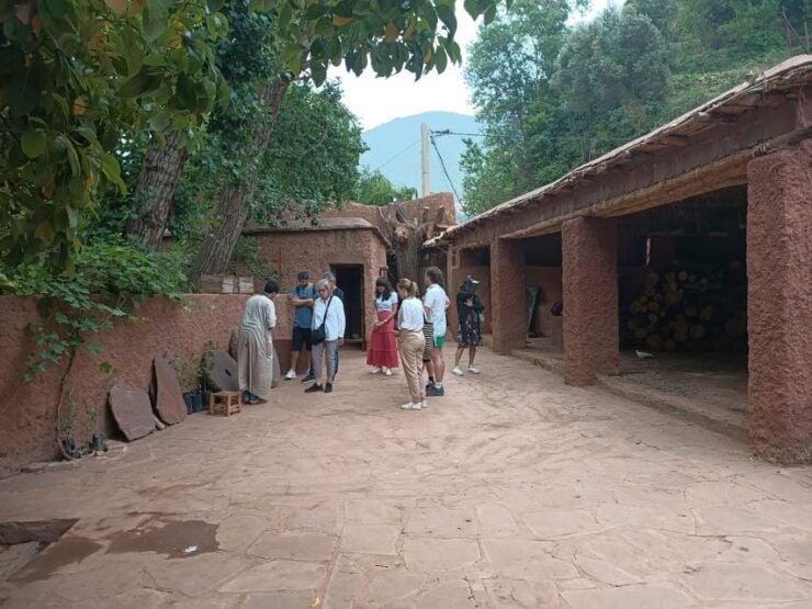 From Marrakech: Ourika Valley and Atlas Mountains Day Tour - Tour Details