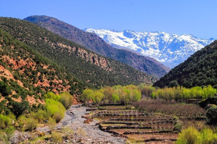 From Marrakech: Ourika Valley Day Trip - Itinerary Highlights