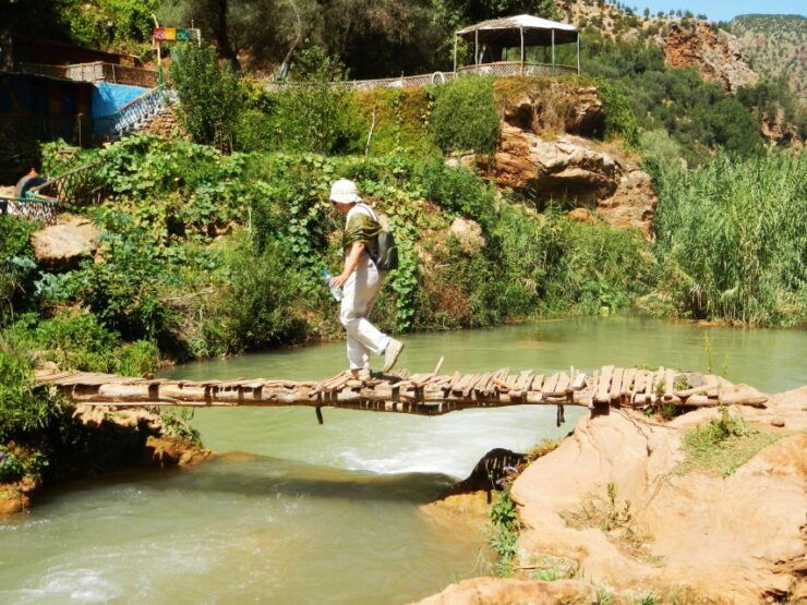 From Marrakech: Ouzoud Waterfalls Guided Tour & Boat Ride - Experience Highlights