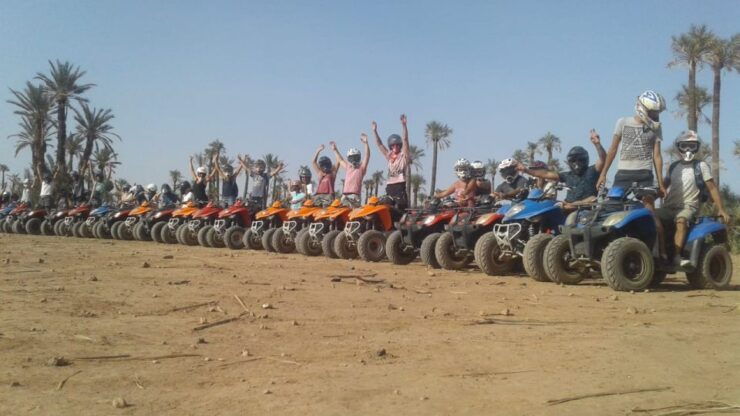 From Marrakech: Palm Grove Quad Bike Tour With Mint Tea - Experience Highlights