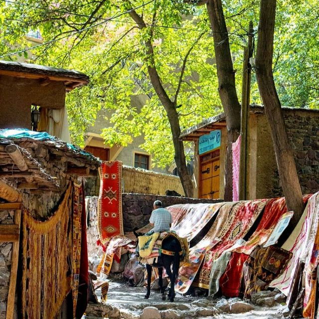 From Marrakech Paragliding & Waterfalls & Camel Ride Trip - Booking Details