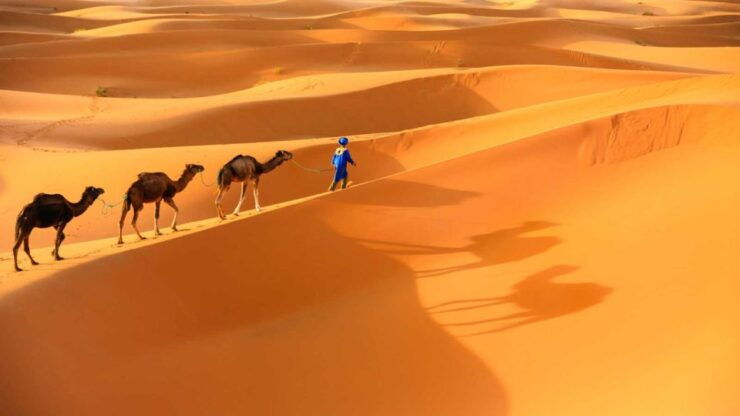 From Marrakech : Private 3-Day Desert Safari To Merzouga - Safari Overview