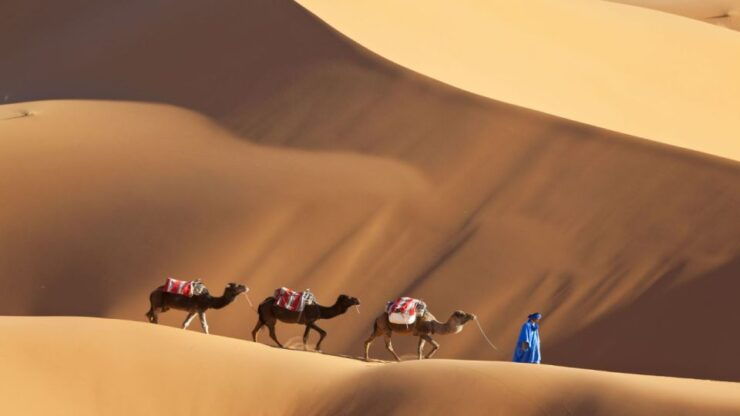 From Marrakech : Private 5 Days Discover Desert Erg Chebbi - Highlights and Activities
