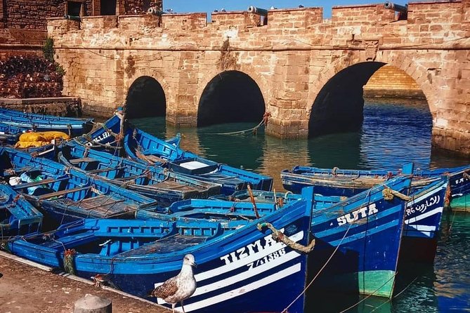 From Marrakech: Private Day Trip to Essaouira - Tour Highlights