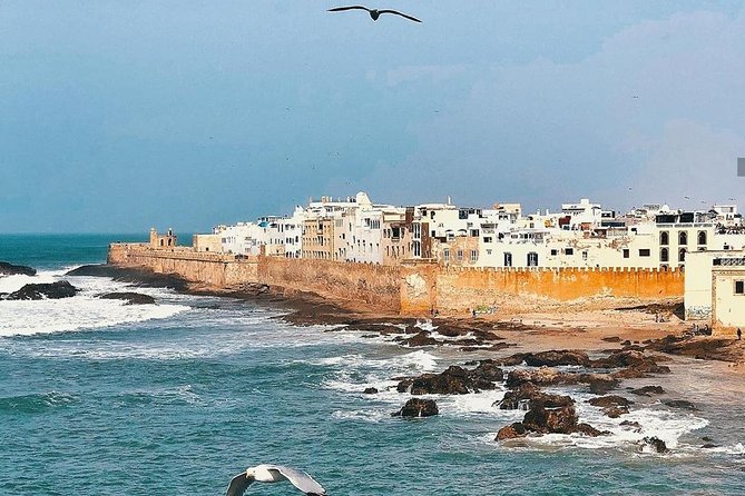 From Marrakech: Private Day Trip to Essaouira - Inclusions and Exclusions