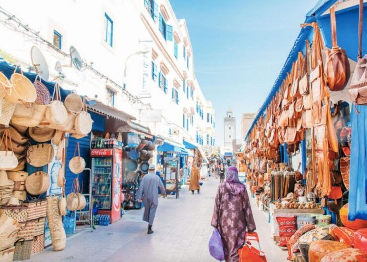 From Marrakech: Private Day Trip To Essaouira Mogador - Activity Experience Highlights