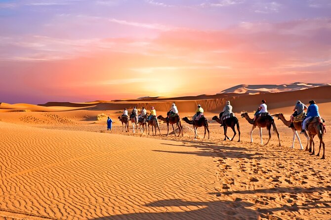From Marrakech: Private Merzouga 3-Day Desert Safari With Camel Trek - Safari Highlights