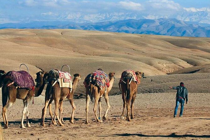 From Marrakech Quad Bike & Camel Ride in Agafay Desert - Booking Information
