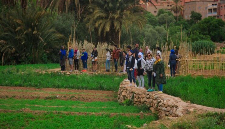 From Marrakech: Sahara Desert 3-Day Group Tour - Tour Highlights