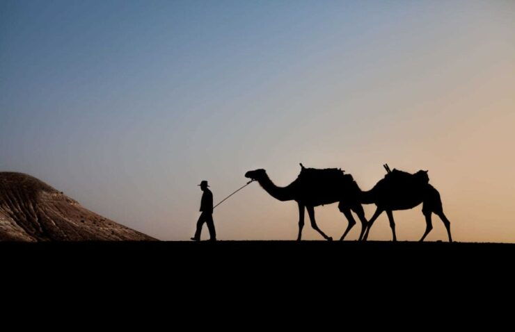 From Marrakech: Sunset Camel Ride in Agafay Desert - Experience Highlights