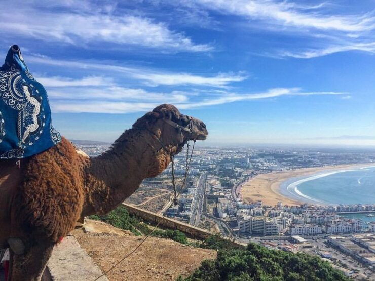 From Marrakech to Agadir : Private Day Trip With Cable Car - Booking Details