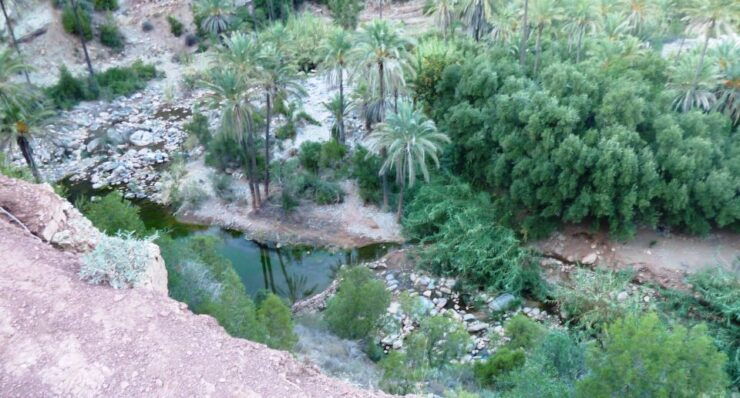 From Marrakech to Agadir : Private Day Trip With Cable Car - Experience in Agadir