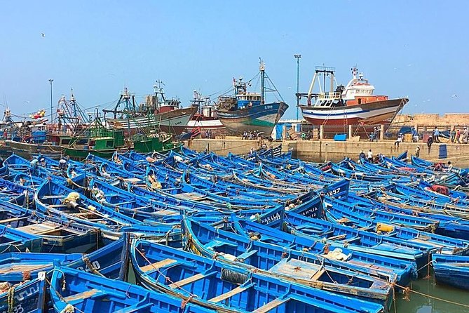 From Marrakech To Essaouira Mogador Full Day Trip Small-group - Cancellation Policy