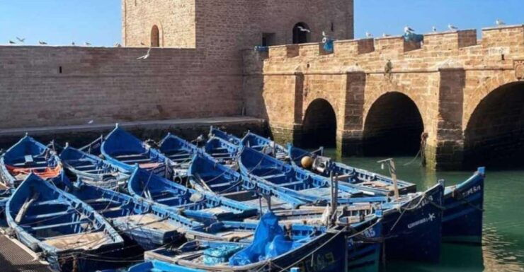 From Marrakech to Essaouira Private Full Day Trip - Language and Instructor Information