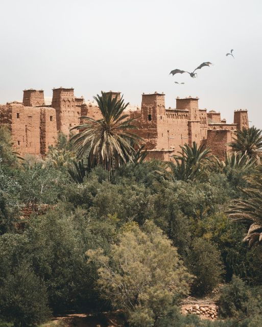 From Marrakech To Fez : Best Desert Adventure 3-Day - Itinerary Overview