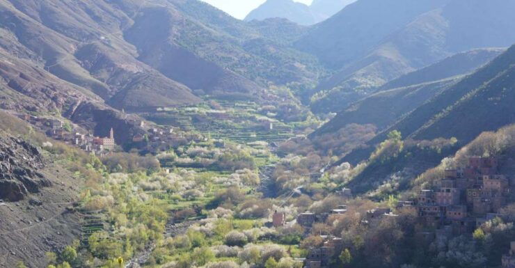 From Marrakech to Imlil: a Journey Into Berber Culture - Exploring Marrakechs Vibrant Culture