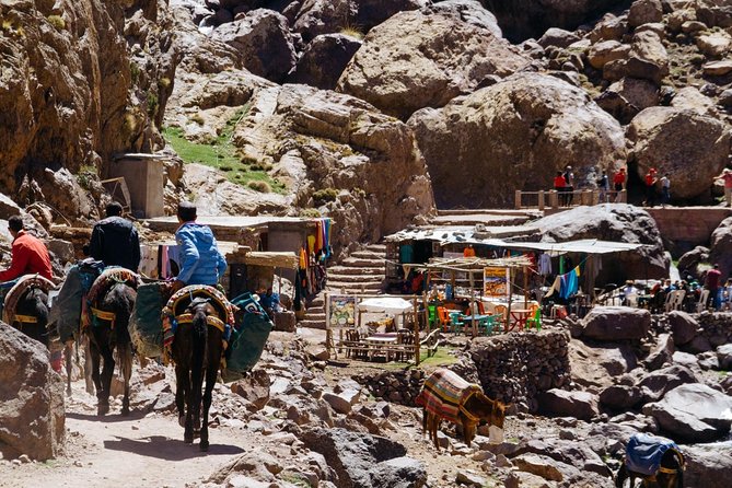 From Marrakech to Imlil Mount Toubkal A Challenging 2-Days- Private Trek - Inclusions