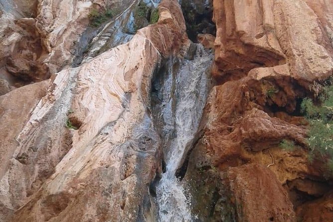 From Marrakech to Ouzoud Waterfalls Day Trip - Pricing Options