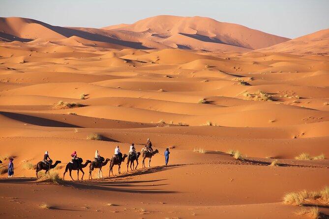 From Marrakech to Sahara Merzouga - 3 Days Trip - Policies and Additional Information