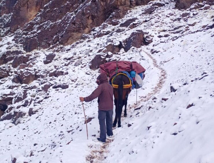 From Marrakech: Two Days MT Toubkal Hike - Booking Details