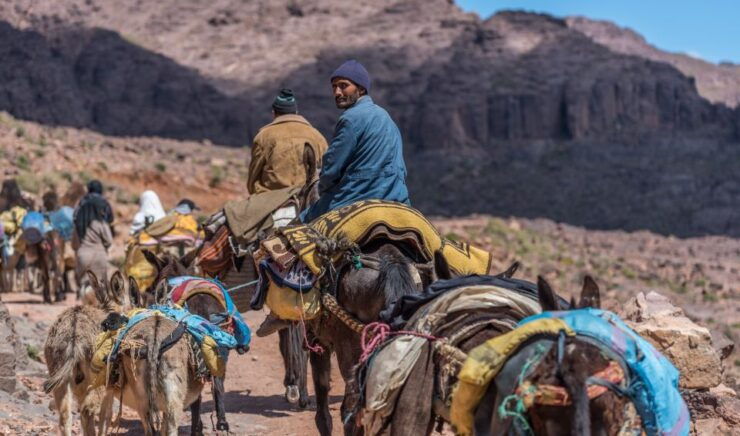 From Marrakesh: Atlas Mountains Day Trip Including Lunch - Experience Highlights