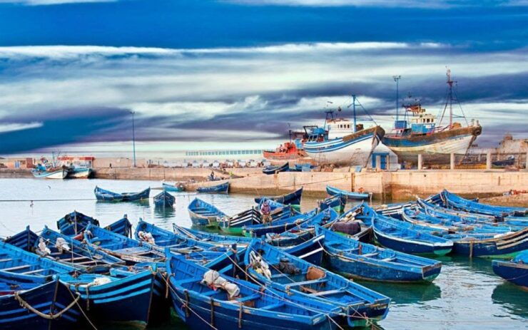 From Marrakesh: Day Trip to Essaouira - Itinerary Overview