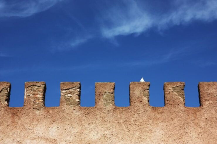 From Marrakesh: Essaouira Full-Day Trip - Activity Details