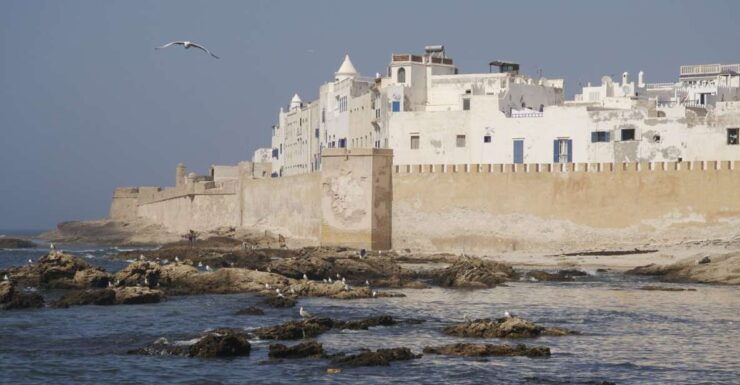 From Marrakesh: Essaouira Full-Day Trip - Experience Highlights