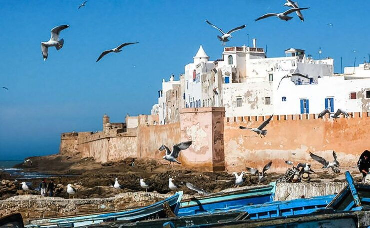 From Marrakesh: Essaouira Full-Day Trip - Activity Highlights