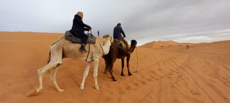 From Marrakesh: Merzouga 3-Day Desert Safari - Experience Highlights