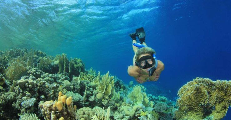 From Marsa Alam: Marsa Mubarak Sea Snorkeling Boat Trip - Experience Highlights