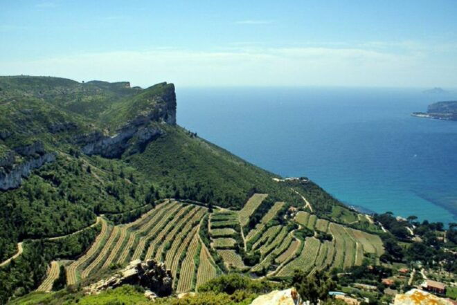 From Marseille: Bandol/Cassis Wine Tour With Viewpoint - Wine Tasting and Vineyard Exploration