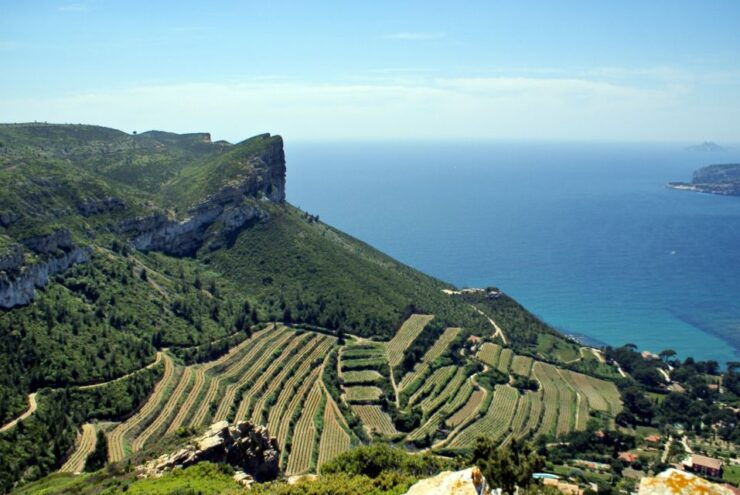 From Marseille: Cassis Boat Cruise - Activity Details
