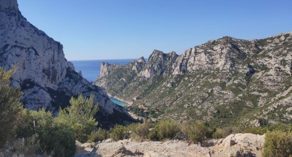 From Marseille: Cassis Boat Cruise - The Sum Up