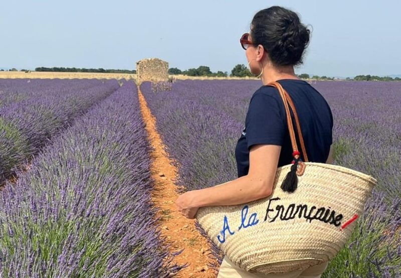 From Marseille Cruise Port : Valensole Lavender - Itinerary Highlights
