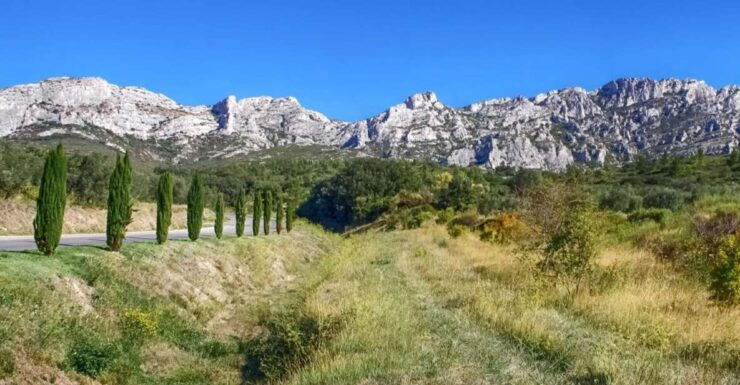 From Marseille: Full-Day Les Baux De Provence Wine Tour - Activity Details and Options