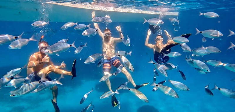 From Marseille: Iconic Calanques Boat Tour with Swimming - Who Is This Tour Best For?