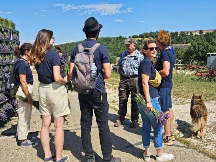 From Marseille: Lavender Full-Day Trip to Sault - Exploring the Village of Gordes