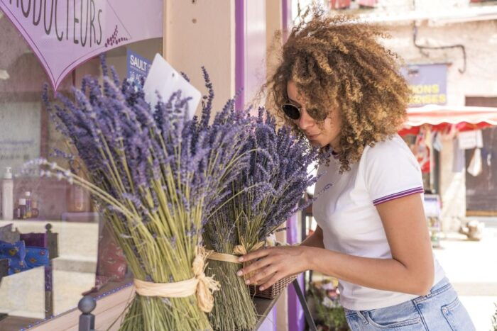 From Marseille: Lavender Full-Day Trip to Sault - Transportation and Meeting Details
